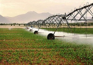 تجهیز 1 هزار و 76 هکتار از اراضی کشاورزی سرایان به سیستمهای آبیاری کم فشار