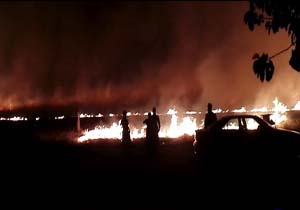 آتش‌سوزی زمین‌های کشاورزی در «قلانجه» + فیلم