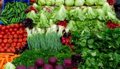 پیش بینی تولید یک هزار و 200 تن انواع سبزیجات برگی در دره شهر