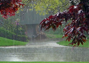 بارش های پراکنده در راه گلستان/ جو نسبتا پایدار است