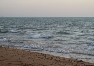 آب های خلیج فارس در محدوده هرمزگان آلودگی نفتی ندارد