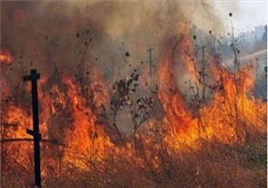 ۴۰ هکتار از مراتع طبیعی جهرم در آتش سوخت