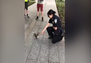 غذا خوردن یک سنجاب از دست افسر پلیس زن + فیلم