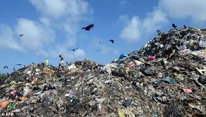 دو کشته در ریزش کوه زباله در هند