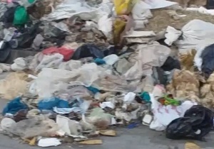 انباشت زباله های حیوانی در بلوار بعثت + فیلم