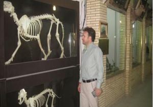 بازدید رایگان از موزه تاریخ طبیعی به مناسبت هفته دولت