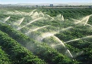افتتاح ۵ طرح کشاورزی درشهرستان بوکان