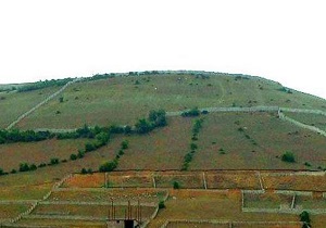 اطلاعات ۹۲۶ پرونده اراضی کشاورزی آذربایجان غربی وارد سامانه شد