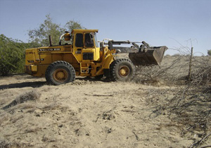 رفع تصرف بیش از 2 هکتار زمین ملی در حاجی‌آباد