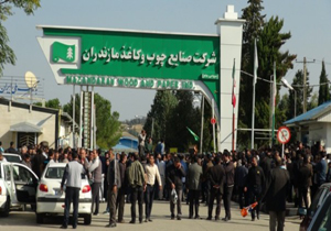 اعتصاب کارگران چوب کاغذ مازندران به دلیل معوقات حقوقی