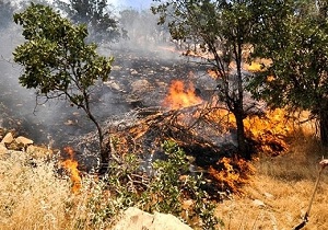 درخواست کمک ازدوستداران طبیعت برای مهار آتش سوزی