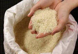 تولید ۱۷ هزارتن برنج سفید مرغوب در لرستان