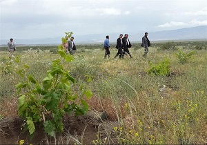 اجرای طرح ترسیب ‌کربن در 39 روستای استان یزد