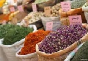 شناسایی 400 نوع گیاه دارویی در استان اردبیل