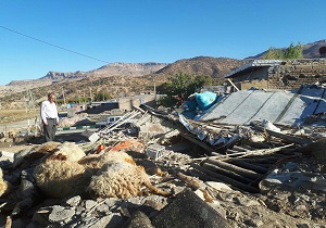 پیش بینی اتلاف 30 درصدی دام ها در مناطق زلزله زده