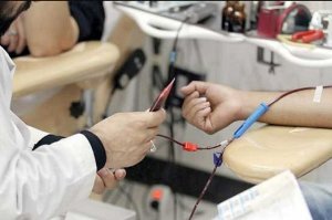 اهدای خون 688 گیلانی برای کمک به زلزله‌ زدگان کرمانشاه