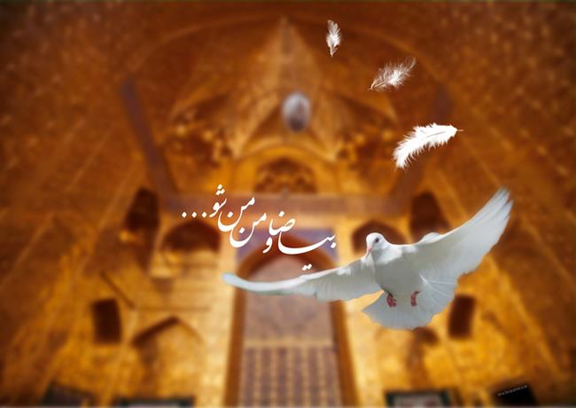 شعر درباره امام رضا / گزیده شعر های بسیار زیبا در وصف  علی بن موسی الرضا