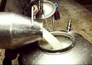 تولید ۷۰۸ تن شیرخام در جویبار