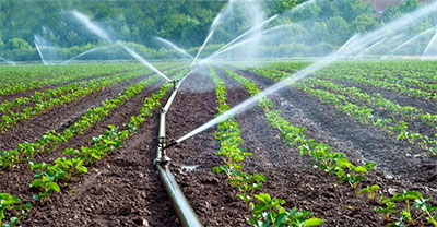 اجرای طرح های آبیاری نوین در بیش از 13 هزار هکتار از اراضی کشاورزی شوط