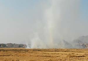 آتش‌سوزی مزارع کشاورزی بعد از برداشت محصول در زرین‌شهر + فیلم