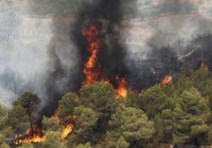 آتش سوزی در جنگل‌های هزار جریب نکا