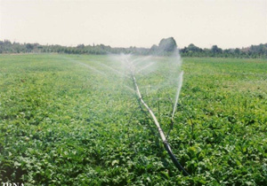 مهمترین ظرفیت لرستان داشتن منابع آب و خاک مناسب برای کشاورزی است