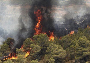 آتش در پارک ملی گلستان