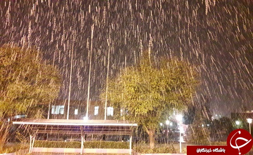 اولین بارش برف در قزوین + تصاویر