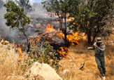 نابودی 700 هکتار از جنگل‌های کهگیلویه و بویراحمد در آتش