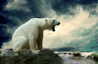 حمله 230 خرس‌ قطبی به لاشه یک نهنگ غول‌پیکر+تصاویر