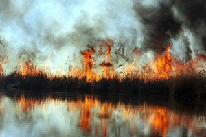 تالاب بین المللی آلاگل در آتش سوخت