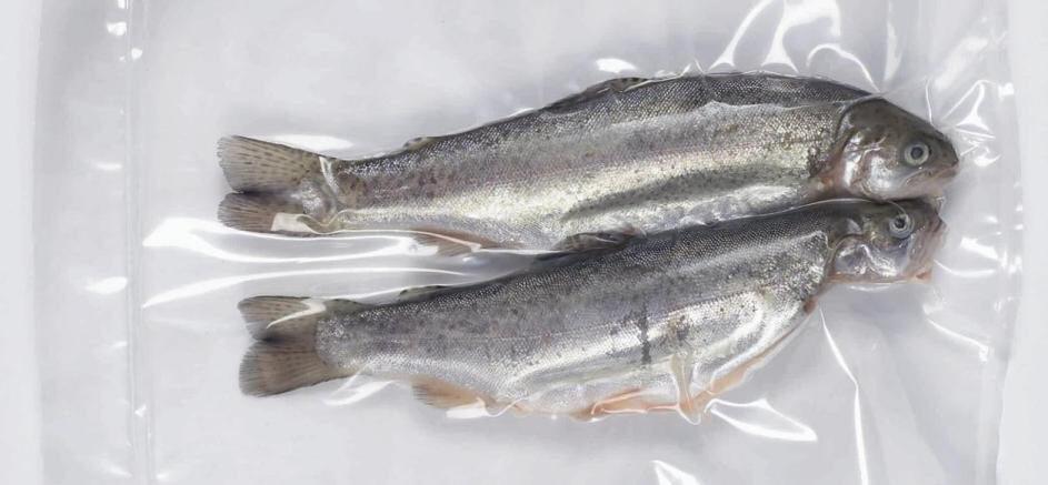 دستیابی به دانش فنی پایش فساد ماهی در موسسه پژوهشی علوم وصنایع غذایی