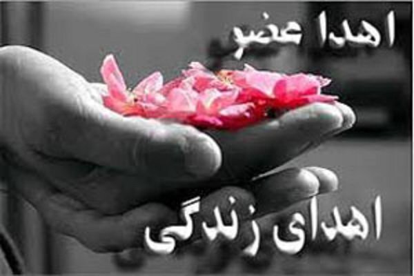 شب‌های تاریک خانواده «رحمانیان»
