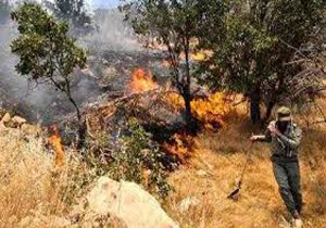 ۸۰۰ میلیون برای مقابله با آتش‎سوزی در جنگل‎ها و مراتع پرداخت شد