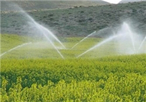 لزوم بهینه سازی مصرف آب کشاورزی در سرفاریاب