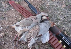 چهار شکارچی متخلف در دیواندره دستگیر شدند
