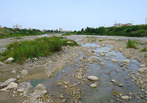 کاهش ۶۰ درصدی آبدهی رودخانه‌های شرق و مرکز مازندران