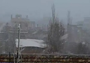 بارش شدید برف در چهاربرج + فیلم