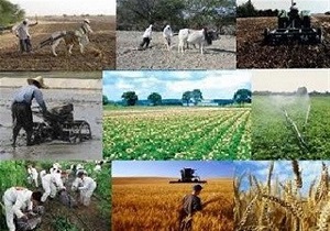 افتتاح ۲۱۳ طرح کشاورزی در لرستان