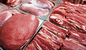 بهبود شبکه توزیع گوشت قرمز دولتی در ایلام