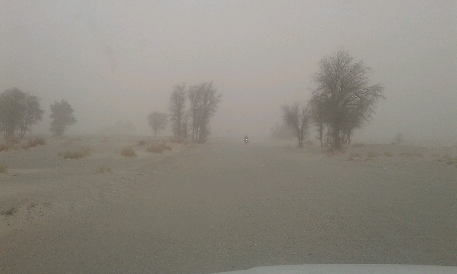 ۲۰ روستا ریگان در محاصره گرد و غبار شدید قرار دارند