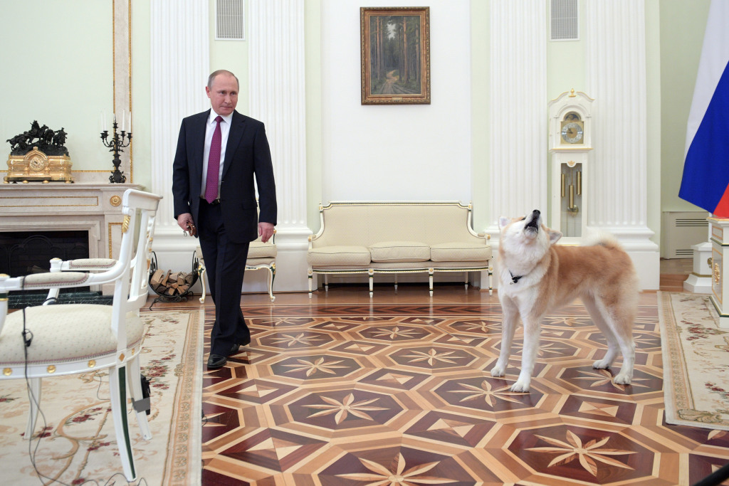 باغ وحشی از هدایای دیپلماتیکی که به رئیس جمهور روسیه داده شد+فیلم و تصاویر
