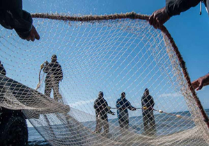 صید بیش از ۱۷ هزار تن ماهی در دریای خزر