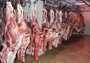 استفاده از معتادان متجاهر برای دلالی در بازار گوشت منجمد/ جریمه سنگین در انتظار شرکت‌های متخلف عرضه کننده گوشت