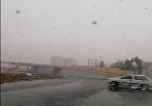 بارش شدید برف در یزد + فیلم