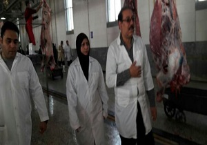 تولید سالانه ۲۶ هزار تن گوشت قرمز در قزوین