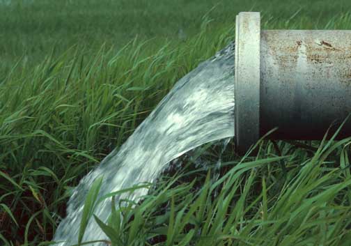 تسهیلات دولت به کشاورزان دوستدار حفظ آب