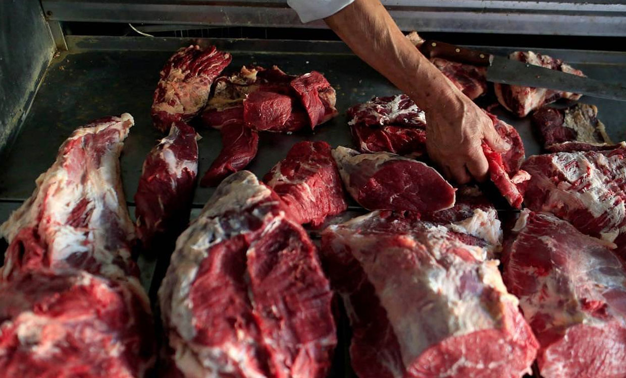 کشف گوشت سگ در قصابی غیرمجاز در مشهد
