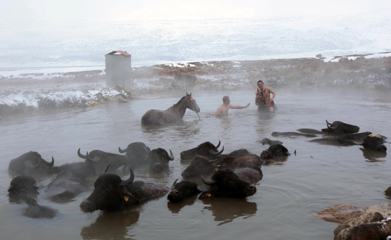 تصاویر روز: از حمام کردن گاو‌ها در ترکیه تا اعتراض نمادین به مرگ روزانه ۸۰۰ کودک بر اثر آشامیدن آب آلوده