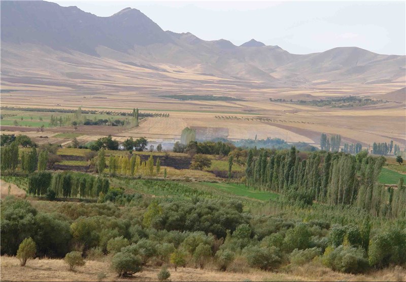 شهر پسته‌های طبیعی و خندان